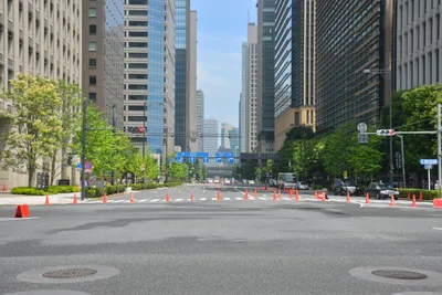 DSC_3379 (Large).JPG